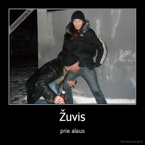 Žuvis - prie alaus