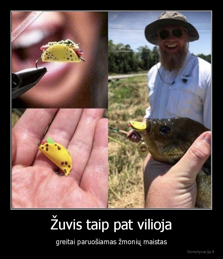 Žuvis taip pat vilioja - greitai paruošiamas žmonių maistas