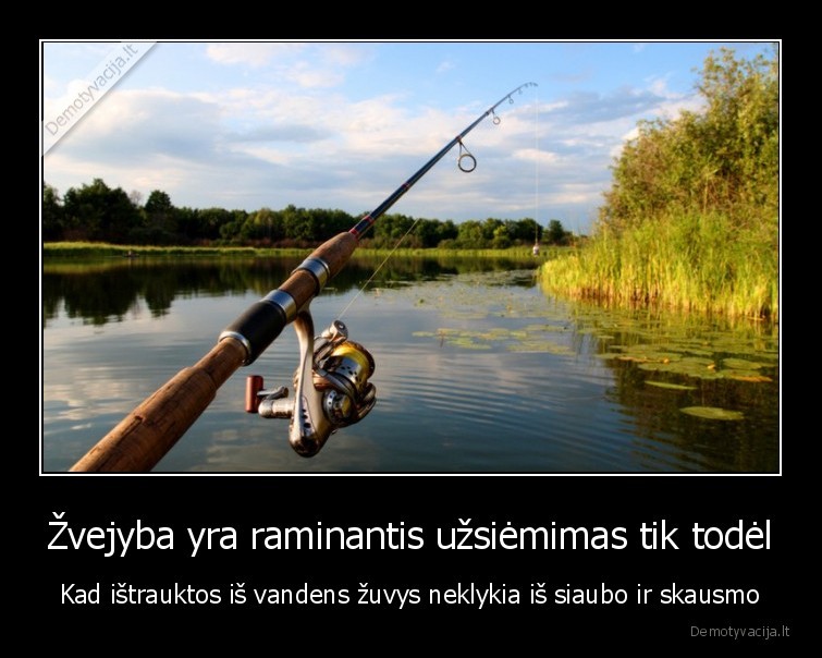 Žvejyba yra raminantis užsiėmimas tik todėl - Kad ištrauktos iš vandens žuvys neklykia iš siaubo ir skausmo