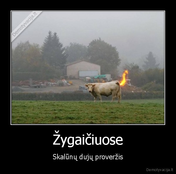 Žygaičiuose - Skalūnų dujų proveržis